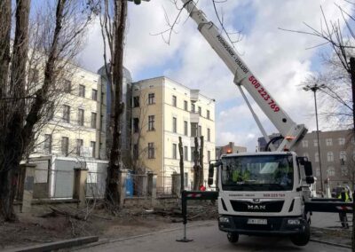 Podnosnik koszowy - praca przy ścince drzew Łódź