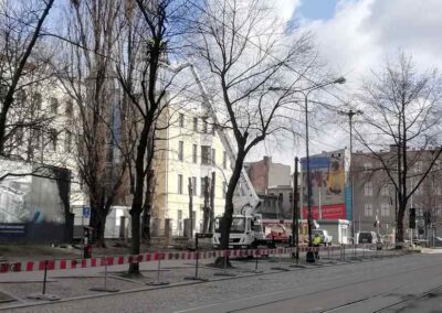 Wycinka drzew Łódź ul. Zielona